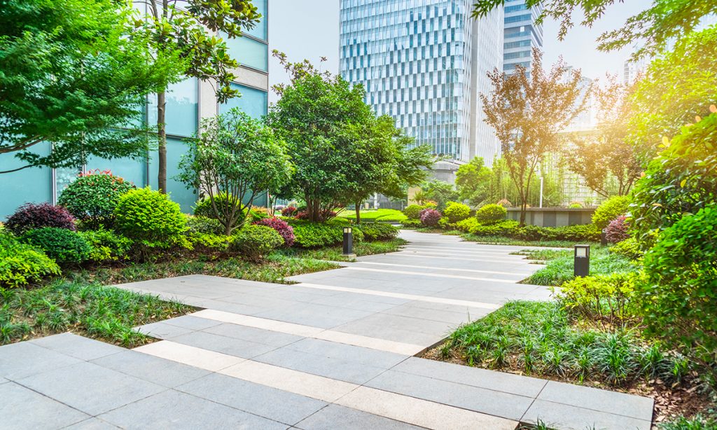 Aménagement d'extérieur des espaces verts à Ambronay pour particulier